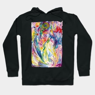 rainbow crow 2 Hoodie